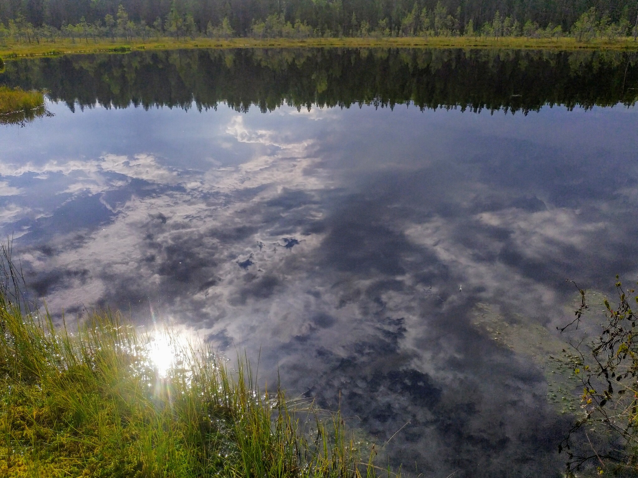 Reflection - My, The nature of Russia, Карелия, Swamp, Water, Mobile photography, Reflection