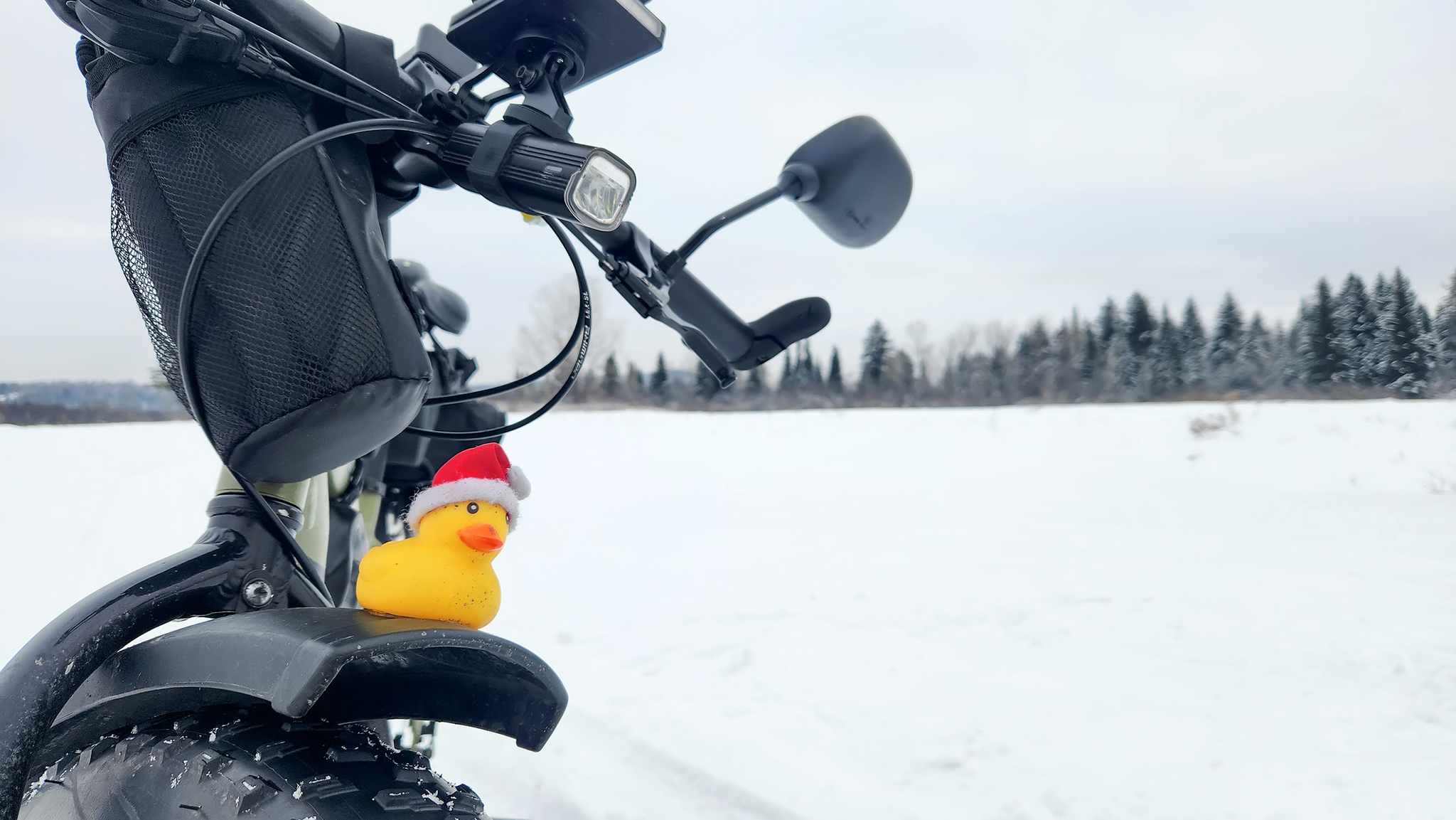 Getting ready for the new year - My, Mobile photography, A bike, Pokatushki, Fatbike, Kemerovo region - Kuzbass