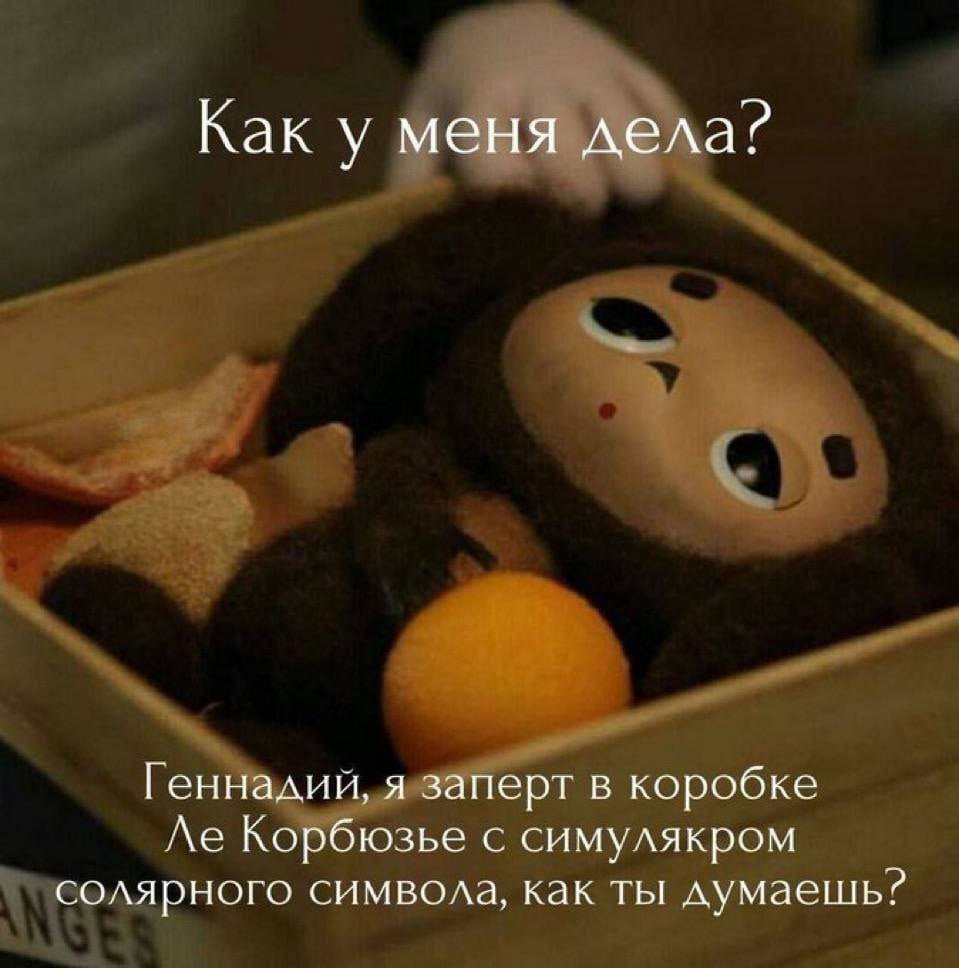 Why Le Corbusier? - Humor, Cheburashka, Crocodile Gena, Cartoons, Picture with text, Memes