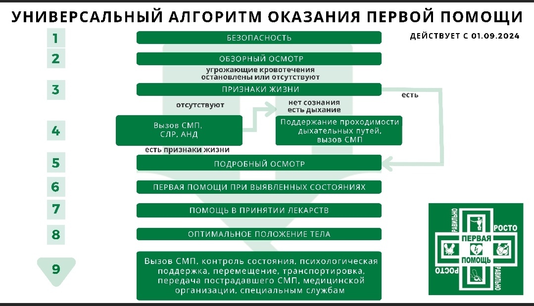 Состав аптечек в новом порядке первой помощи - Моё, Волна постов, Первая помощь, Аптечка, Общество, Длиннопост