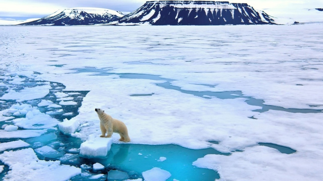 Arctic Ocean could be ice-free in three years, climate scientists say - Technologies, Innovations, Ocean, Climate change, Global warming