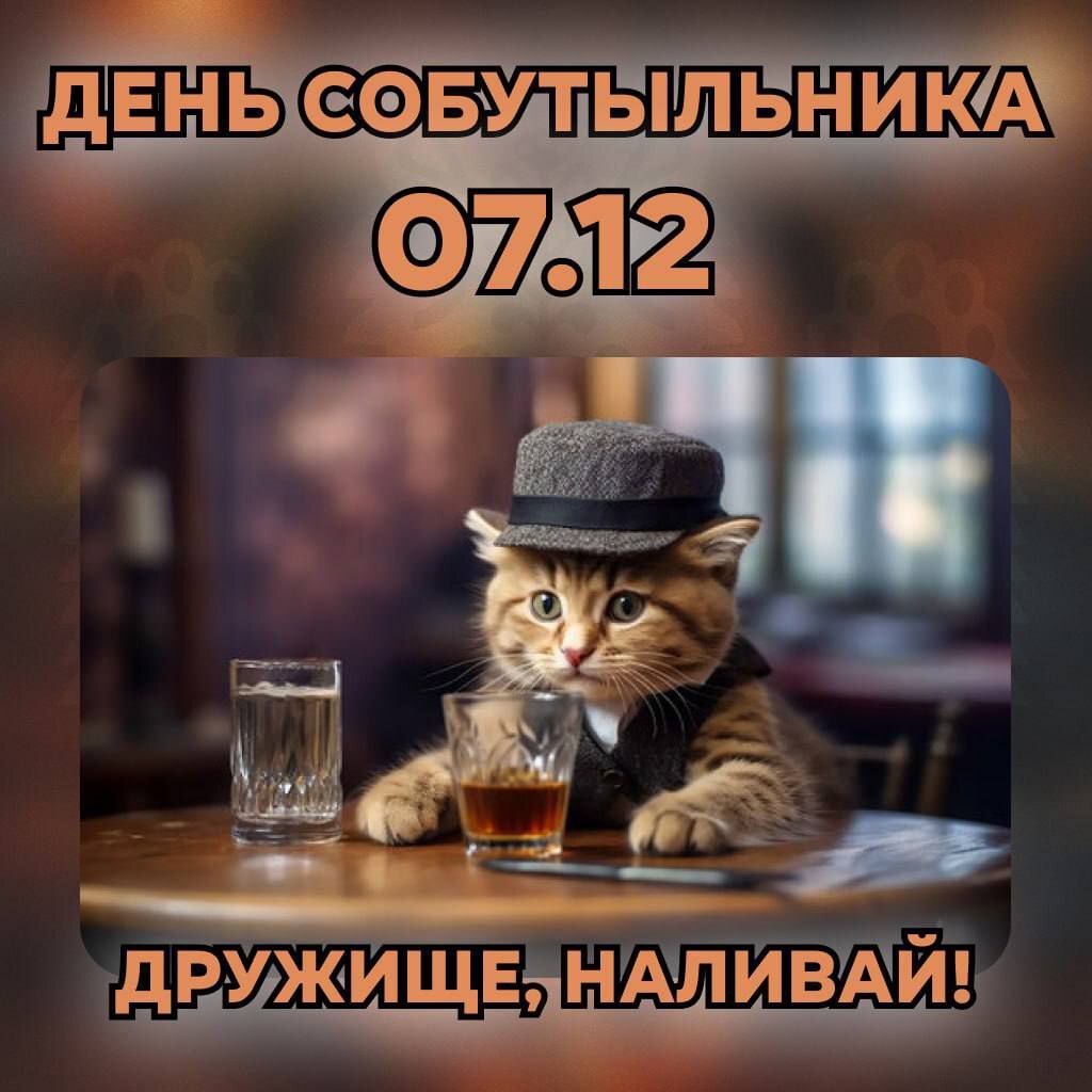 Happy holiday, Pikabu! - Holidays, Drinking companion, From the network, date, cat, Alcohol