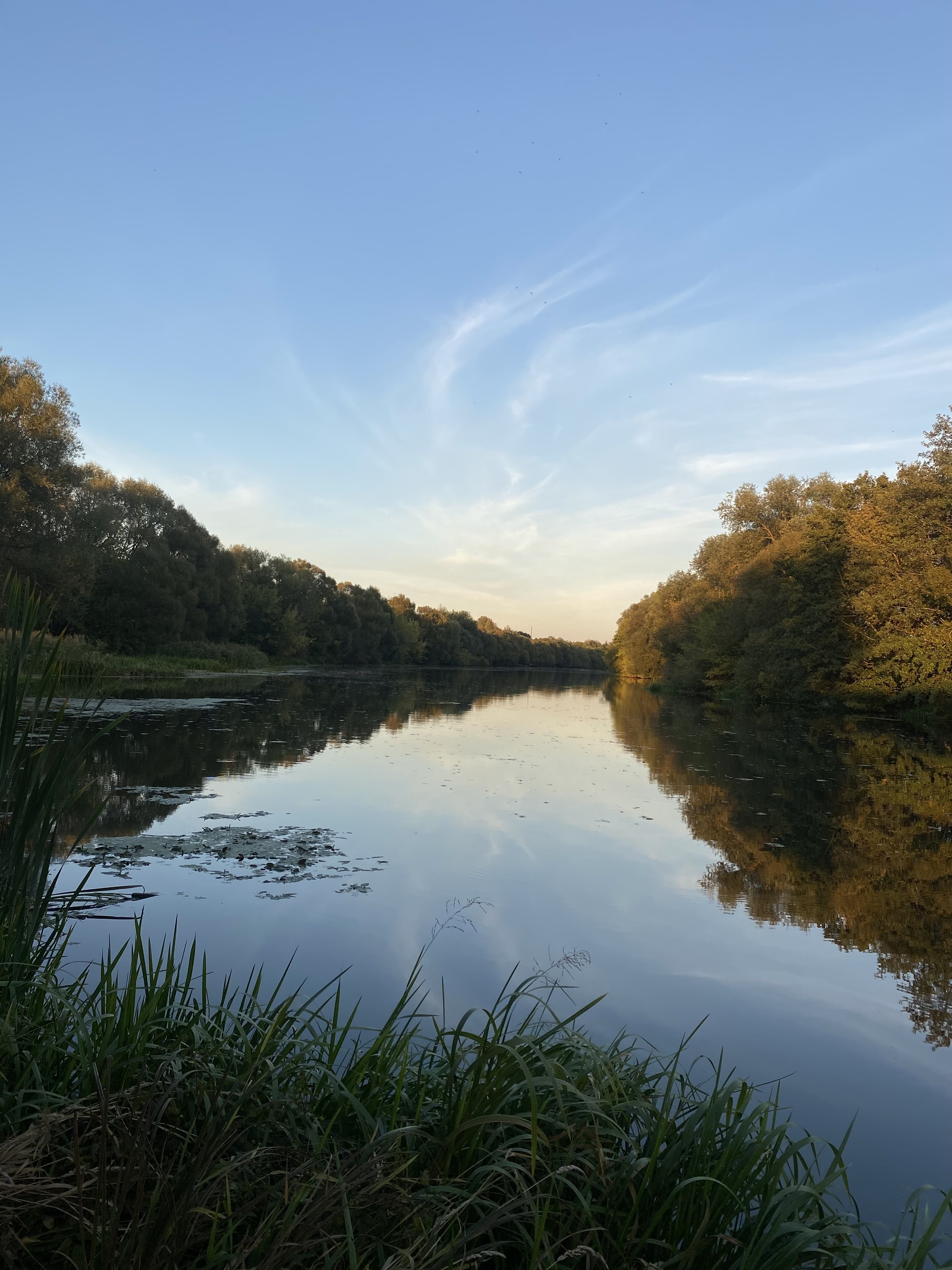 Oka+Tson. Merger - My, River, Oka river, Psc, Mobile photography, Nature, Summer, Russia, Beautiful view, Confluence of rivers