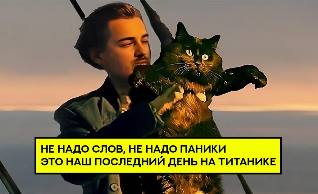 Это был тестовый запуск. Заработал на крипто играх ~567582 рублей в 2024 году. Пора завязывать ? - Моё, Инвестиции, Стартап, Hamster Kombat, Криптовалюта, Виктор кох, Павел Дуров, Telegram, Длиннопост