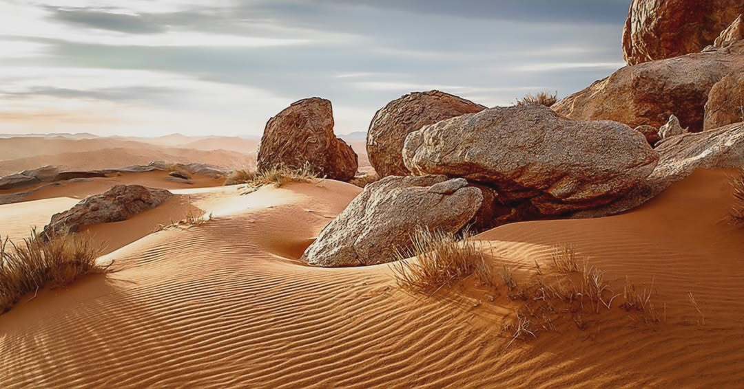 Spergebit - Desert, A rock, Sand, wildlife, National park, Namib Desert, South Africa, The photo