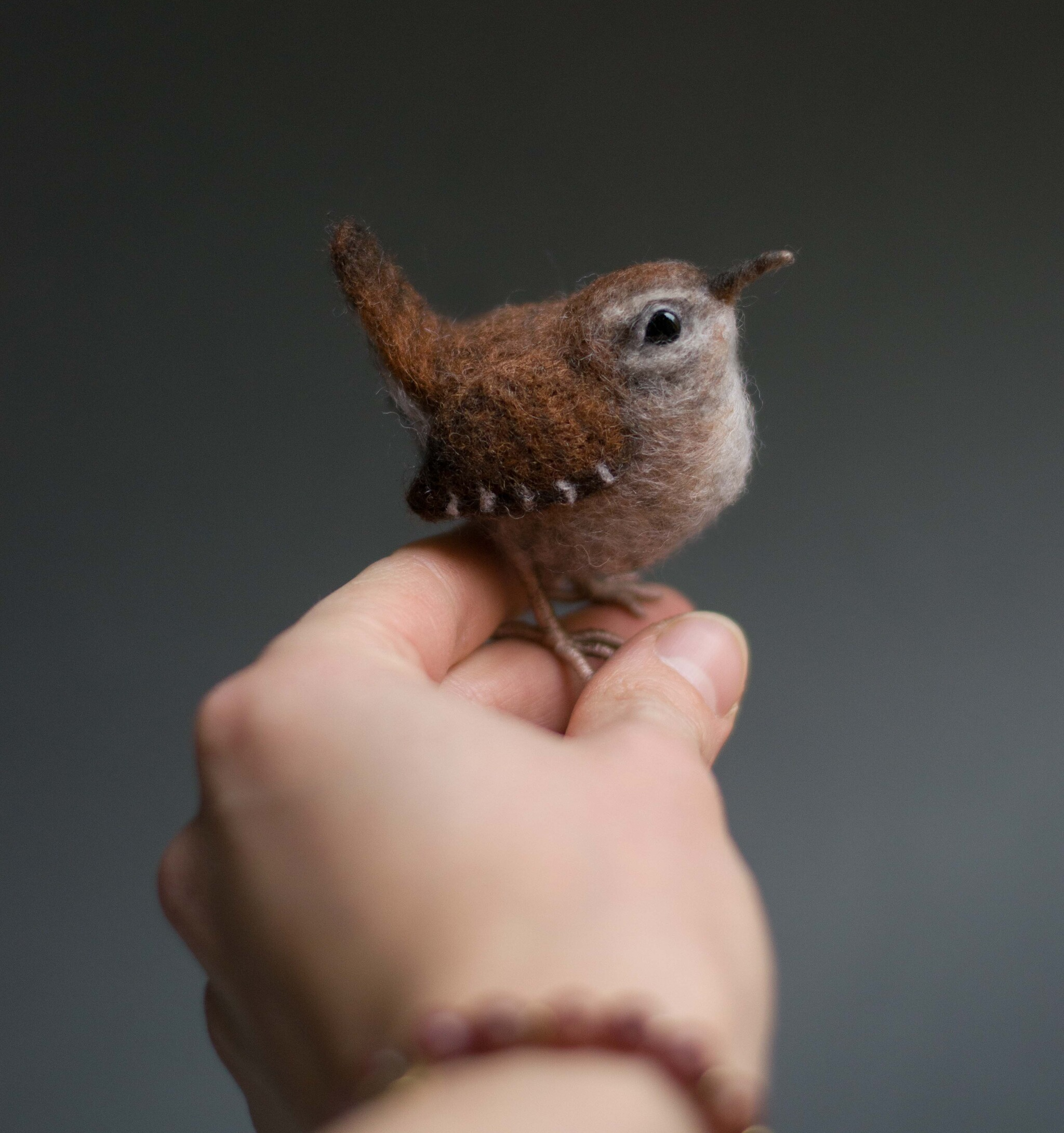 Felted Nettle - My, Needlework without process, Dry felting, Wren, Longpost