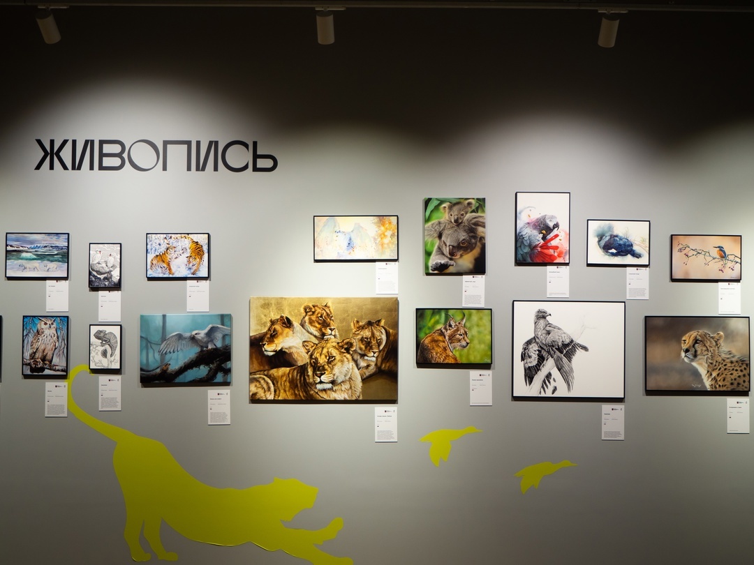 Exhibition Golden Turtle - My, Exhibition, Painting, Watercolor, Drawing, Animalistics, Birds, Moscow, Longpost