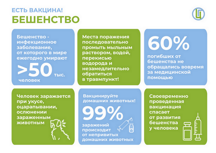 Бешенство и домашние животные - Бешенство, Домашние животные, Дикие животные, Кот, Собака, Бездомные животные, Бродячие собаки, Забота