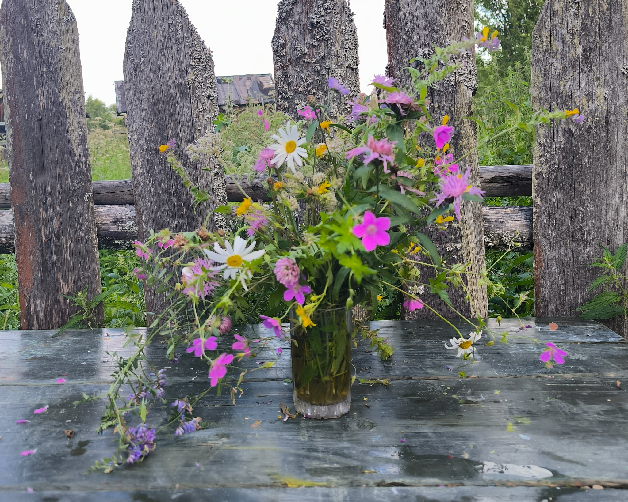 Bouquet against the background of a fence - My, Author's painting, Village, Painting, Oil painting, Summer, Flowers, Painting