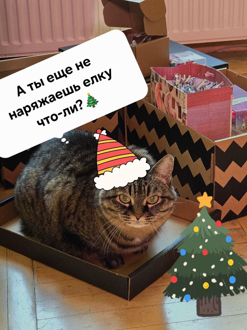 To everyone who hasn't yet... - New Year, cat, Christmas tree, Longpost, Picture with text