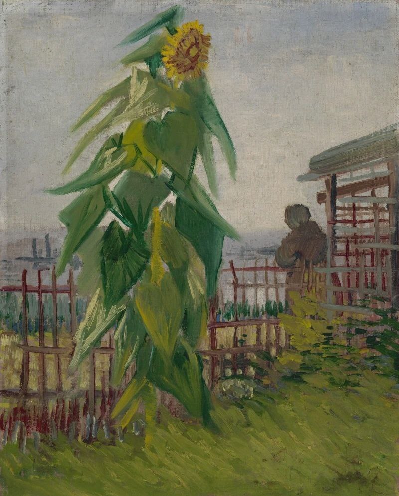 Paintings by Vincent van Gogh - Art, Art, Painting, Sunflower, van Gogh, Impressionism, Artist, Oil painting, beauty, Author's painting, Telegram (link), Longpost