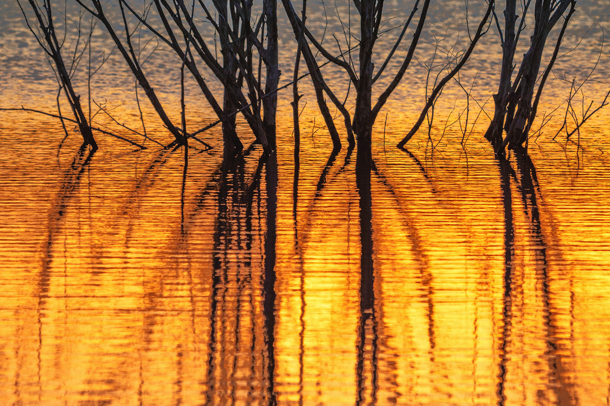 The Dam at Sunset - My, Pond, Sunset, Steppe, Rostov region, Landscape