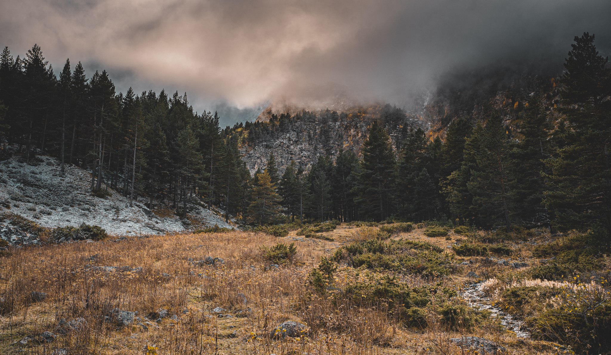 Evening on the edge of the forest zone - My, The mountains, Tourism, Mountain tourism, Hike, The photo, Elbrus, Glacier, Autumn, Forest