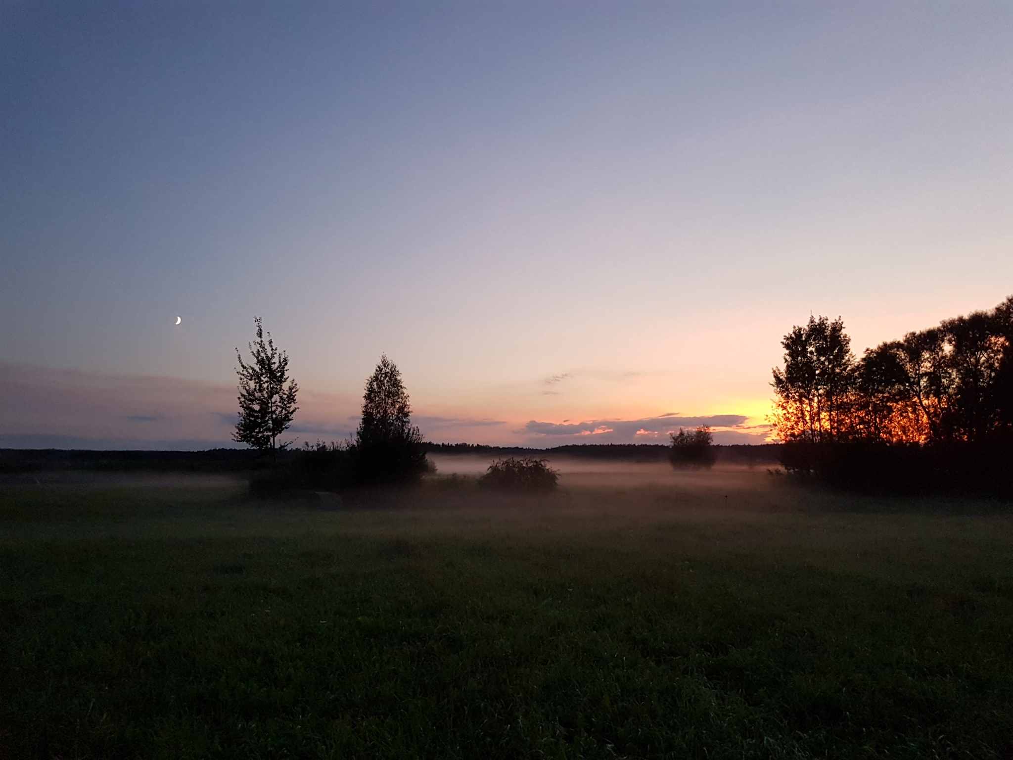 Morning - My, The photo, Morning, Fog, Nature, dawn, Beautiful view