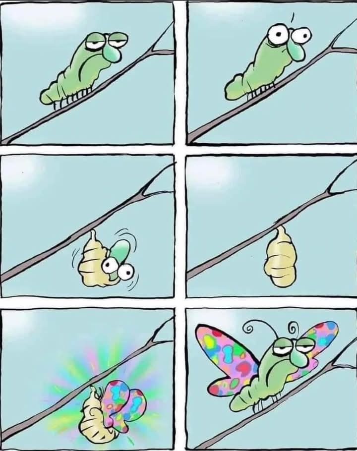 Post #12124660 - Time, Wife, Comics, Caterpillar, Butterfly, Jim benton