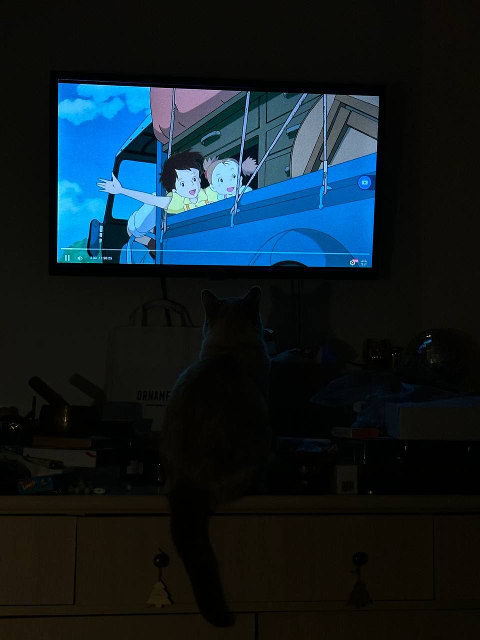 My #catcritic is watching My Neighbor Totoro today - Movies, New films, I advise you to look, Movie review, Hayao Miyazaki, Small cats, cat, Cinema