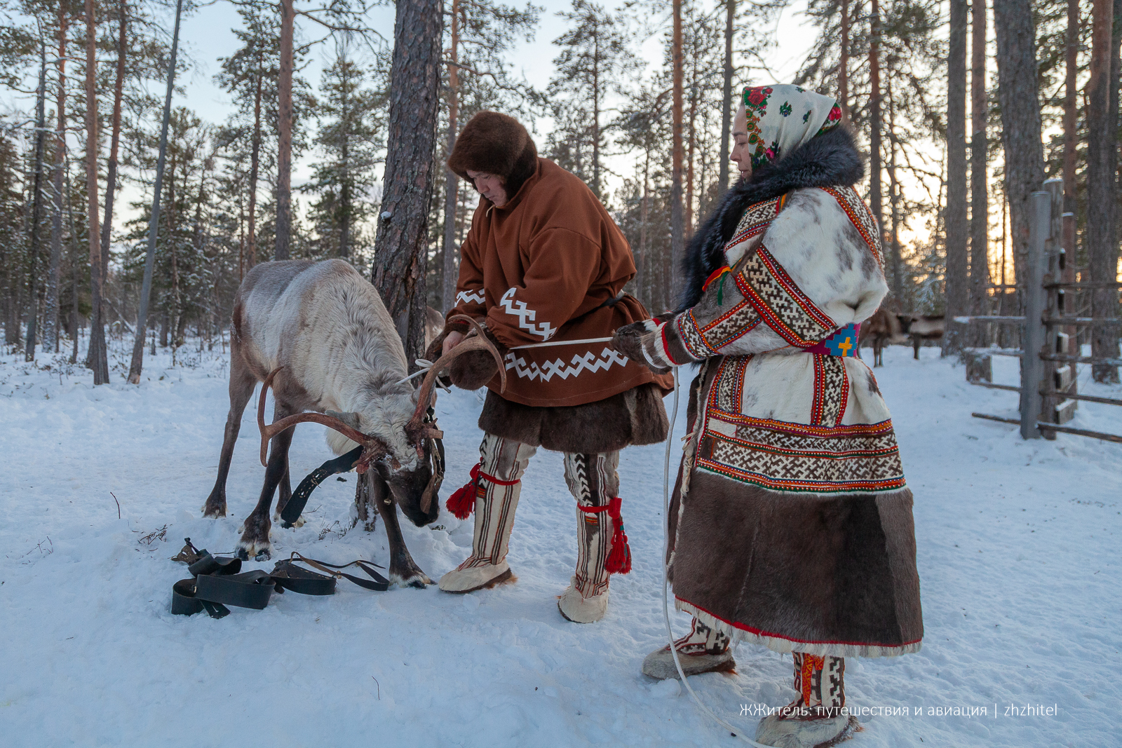 Post #12131865 - My, Travels, Travel across Russia, Ugra, Khanty, Small nations, Indigenous peoples, The photo, Reindeer herder, Reindeer husbandry, Longpost