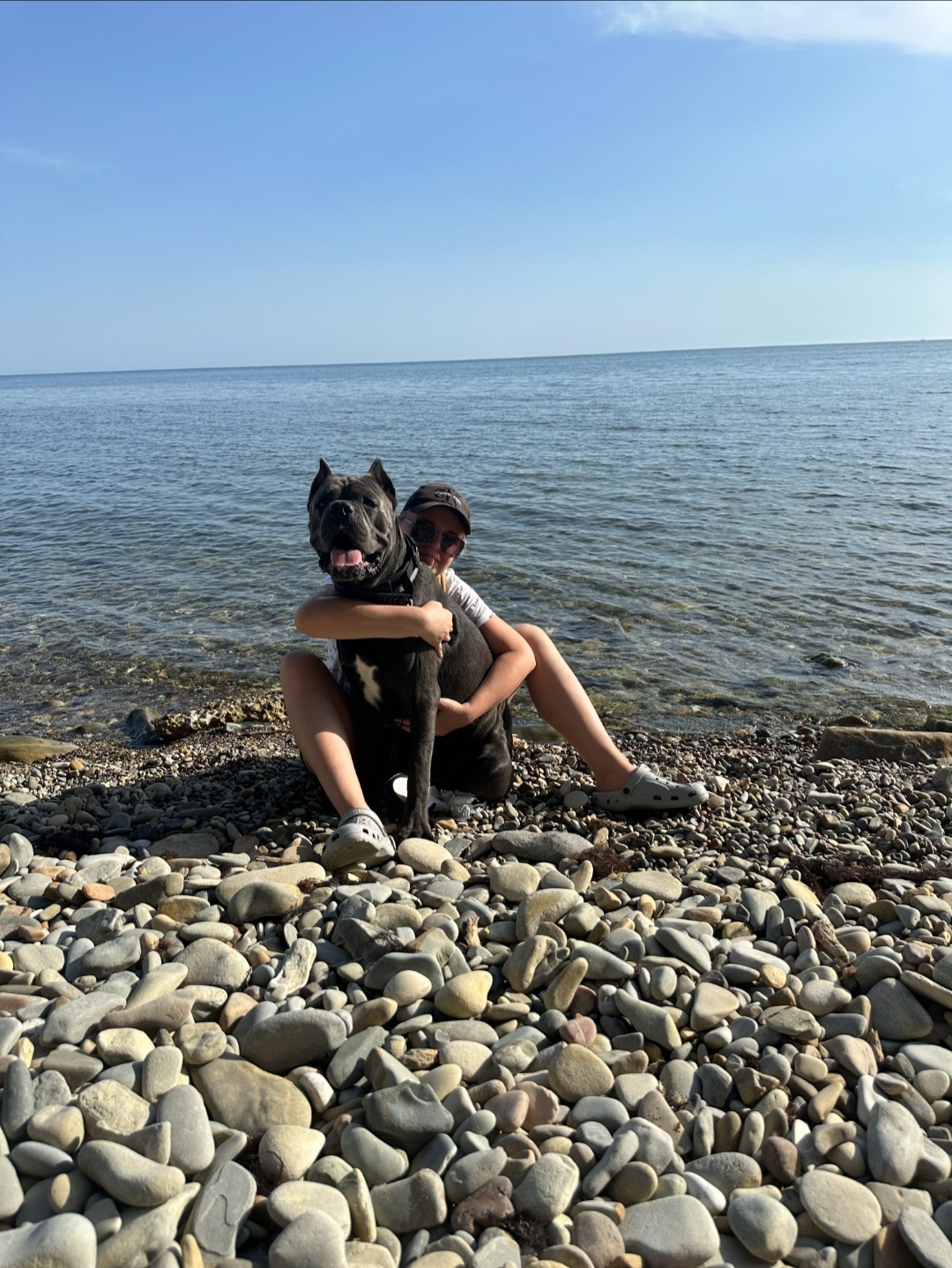 Post #12134073 - My, Cane Corso, Dog, Краснодарский Край, Sea, Longpost