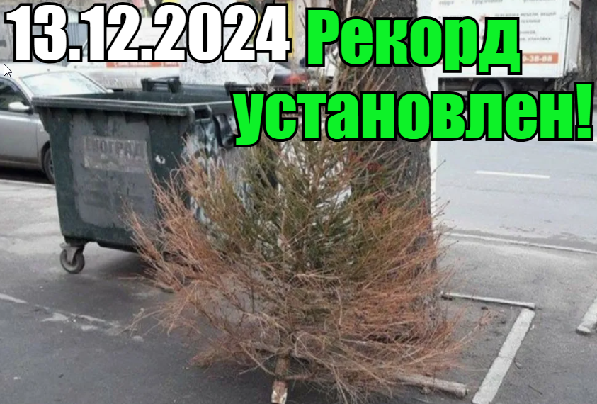 Post #12131311 - Christmas trees, New Year, Memes, Humor, Picture with text