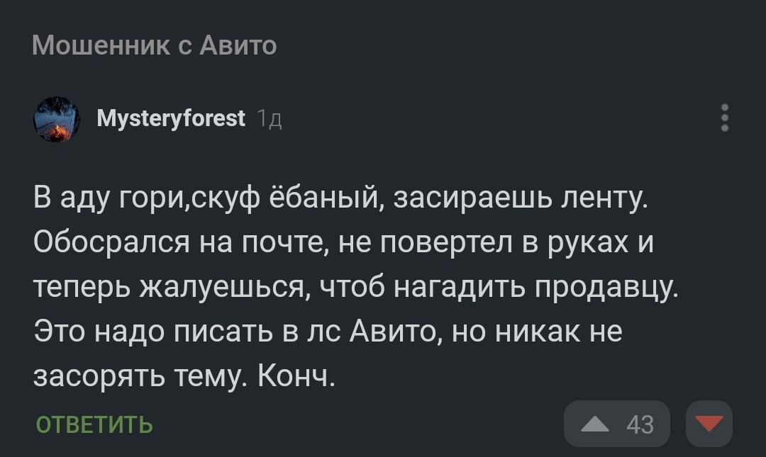 Давайте разбираться - Моё, Авито, Обман, Мат, Сила Пикабу, Комментарии, Скриншот, Длиннопост, Негатив, Комментарии на Пикабу