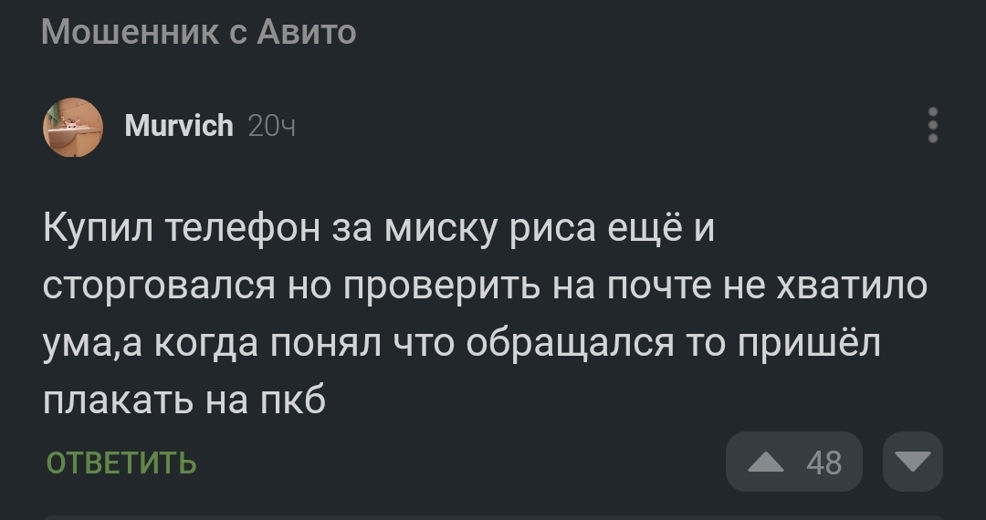 Давайте разбираться - Моё, Авито, Обман, Мат, Сила Пикабу, Комментарии, Скриншот, Длиннопост, Негатив, Комментарии на Пикабу