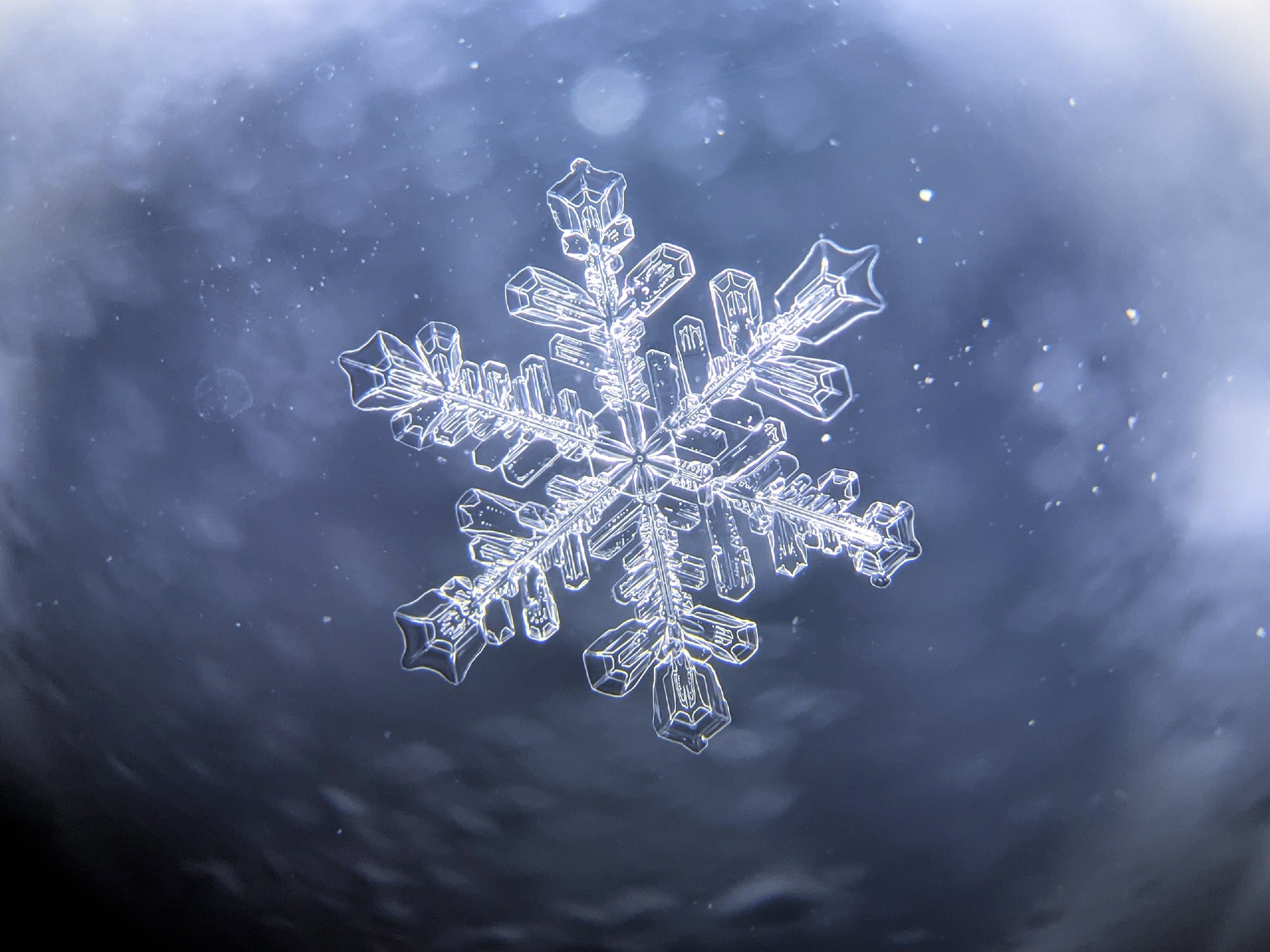 Post #12132033 - Macro photography, Microscope, Snowflake, Winter, Snow, Mobile photography, Products, Гаджеты