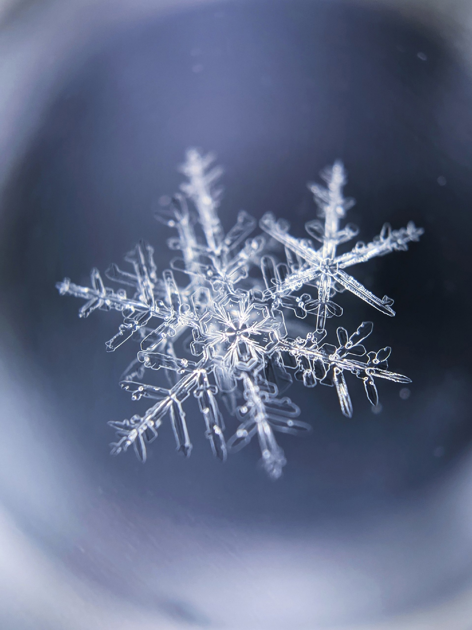 Post #12132033 - Macro photography, Microscope, Snowflake, Winter, Snow, Mobile photography, Products, Гаджеты