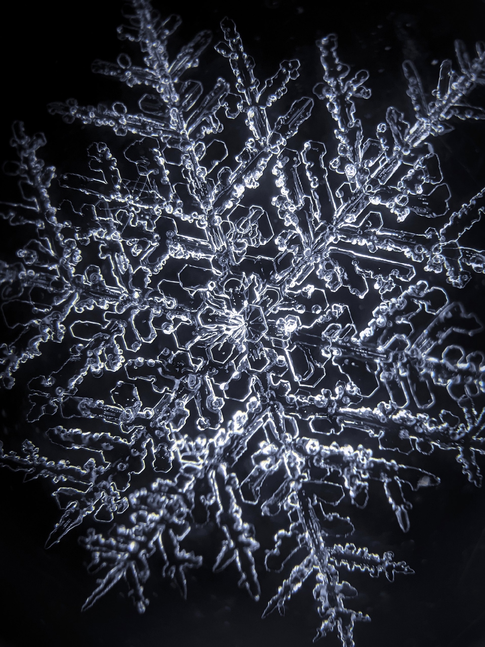 Post #12132033 - Macro photography, Microscope, Snowflake, Winter, Snow, Mobile photography, Products, Гаджеты