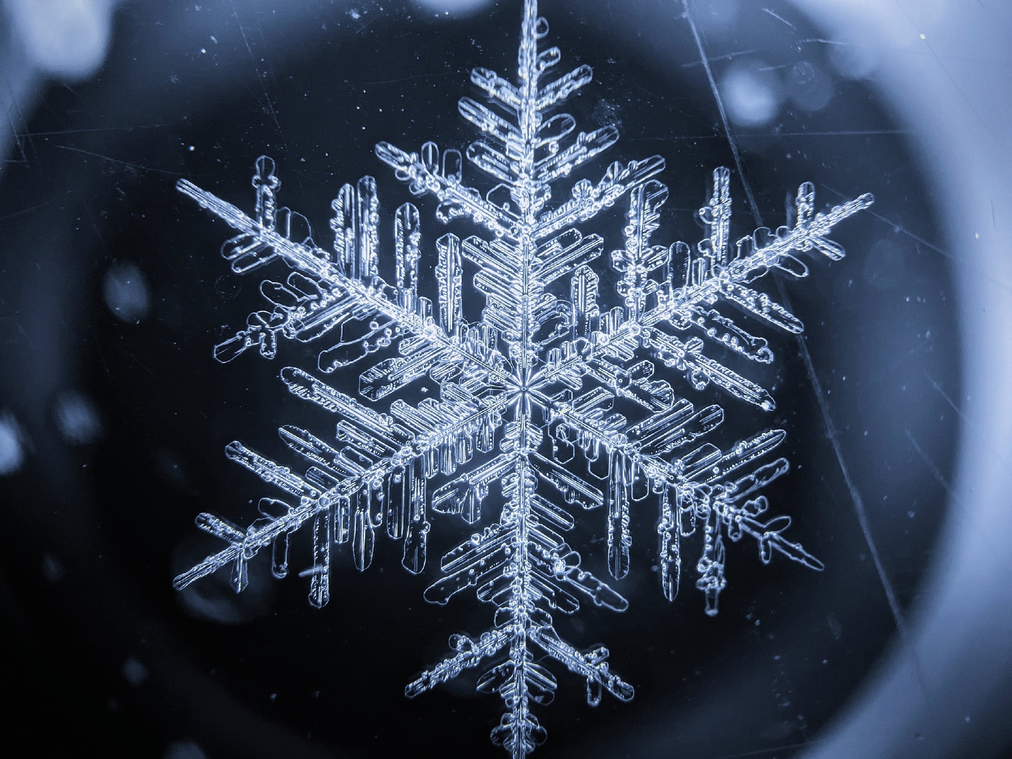 Post #12132033 - Macro photography, Microscope, Snowflake, Winter, Snow, Mobile photography, Products, Гаджеты