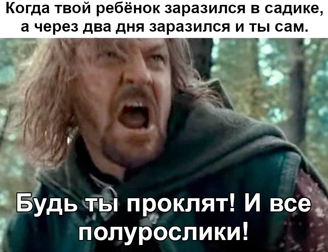 Ох уж эти полурослики - Властелин колец, Боромир, Хоббит, Дети, Жизненно, Картинка с текстом, Перевел сам, ВКонтакте (ссылка)