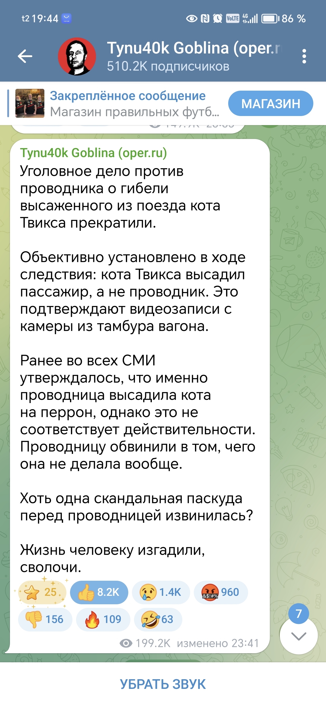 Ну что поборники справедливости? Извинятся перед проводником будем? - Кот Твикс, Социальные сети, Длиннопост