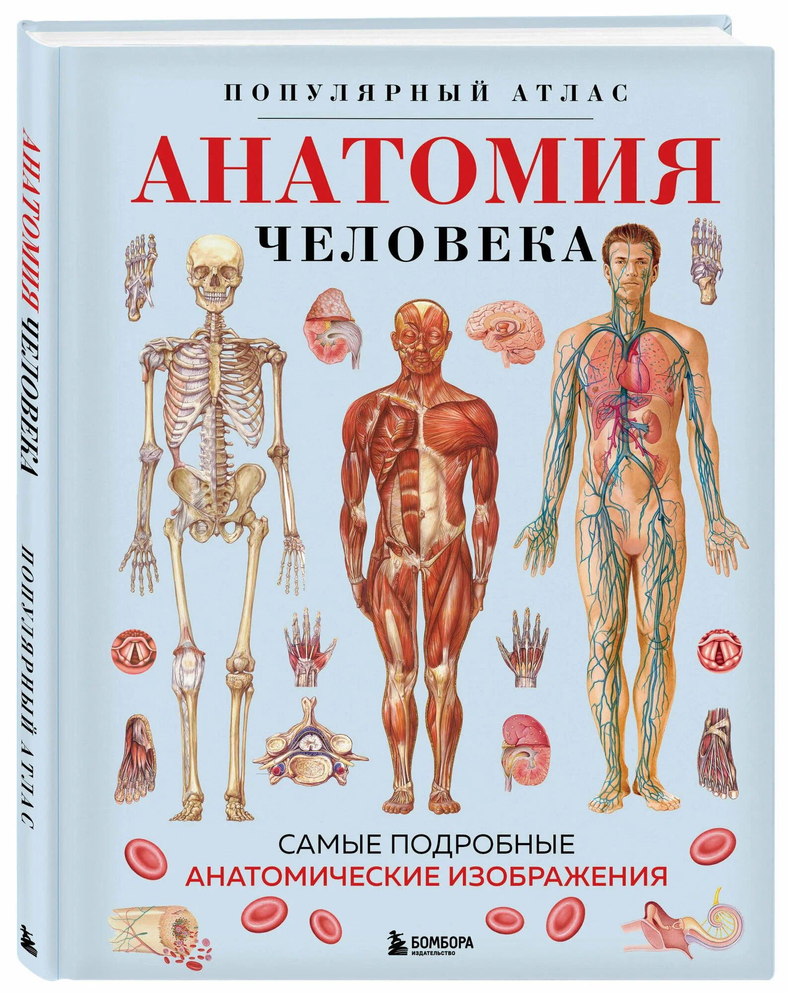 Чем заняться в новогодние праздники? Топ 15 идей - Конструктор, Сборка, Радиолюбители, Яндекс Маркет, Своими руками, Увлечение, LEGO, Свечеварение, Зимние забавы, Настольные игры, Снегокат, Книги, Фитнес, Игровая приставка, Раскраска, Робототехника, Подарки, Полет, Дартс, Самоделки, Видео, Без звука, Длиннопост