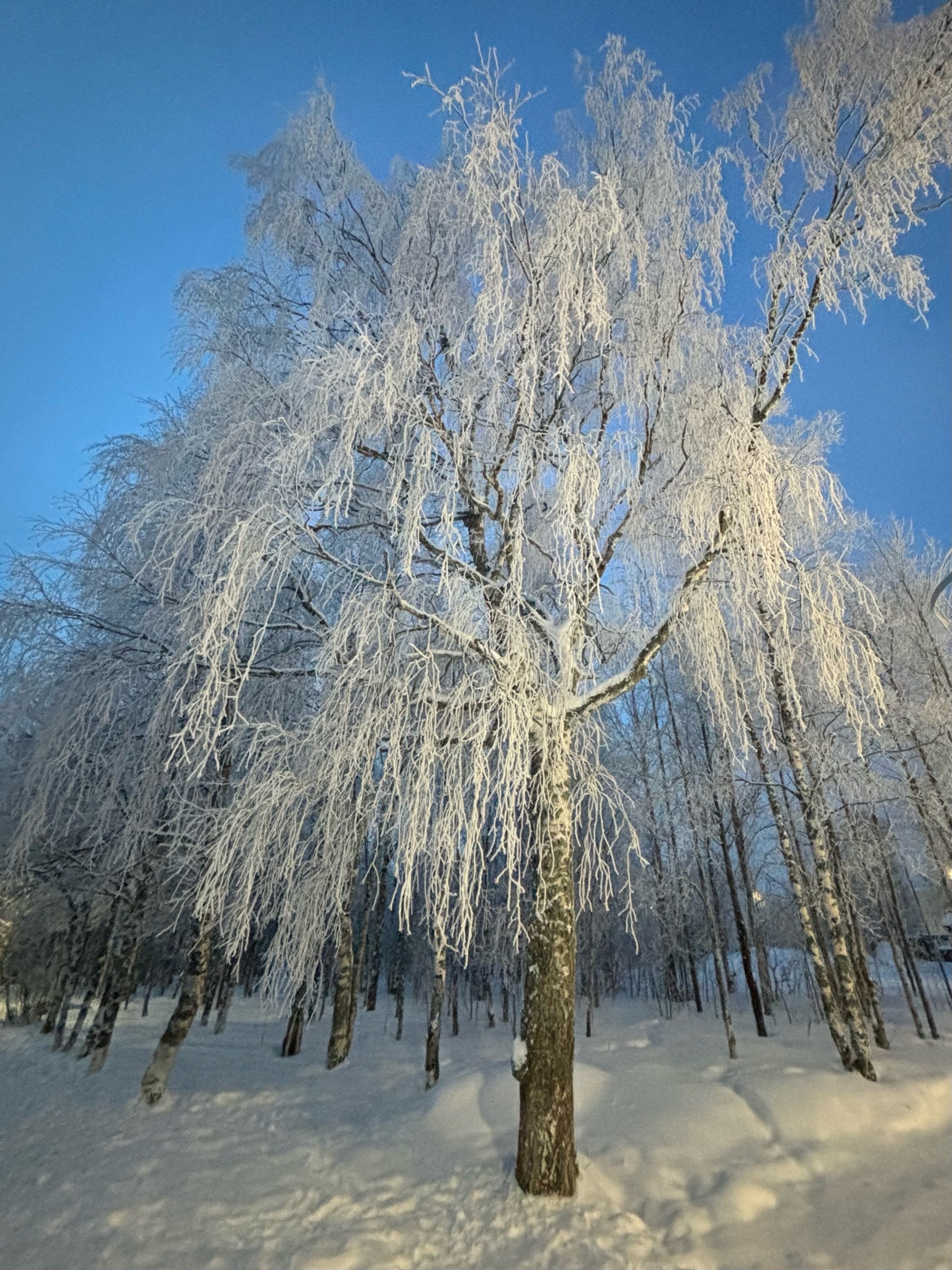 Post #12137968 - My, The photo, Mobile photography, Snow, Winter, Pechora, Komi, North, Longpost