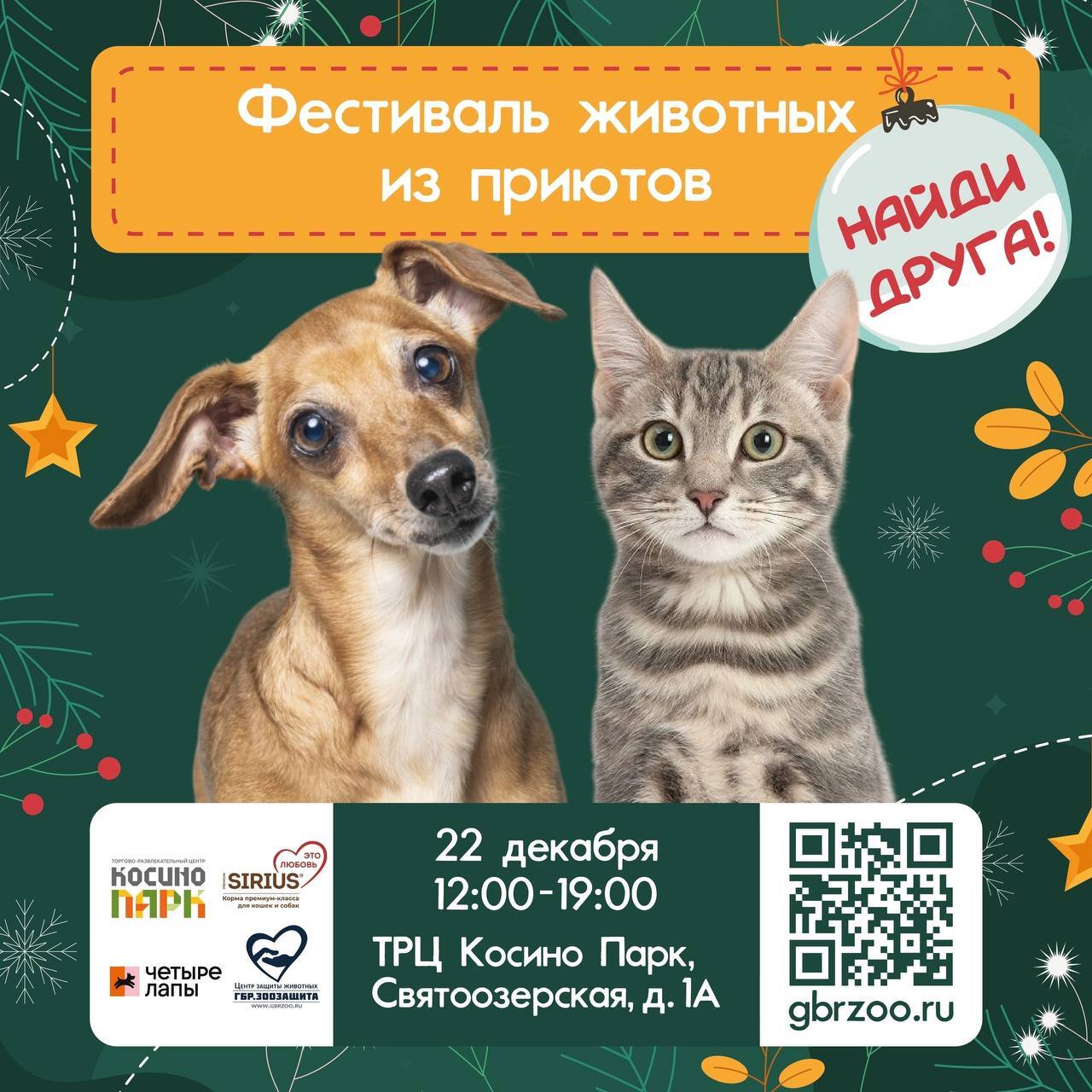 Exhibition and adoption of cats and dogs December 22, 2024 Moscow and Moscow region Find a friend! - My, Puppies, Charity, No rating, cat, Dog, In good hands, Moscow