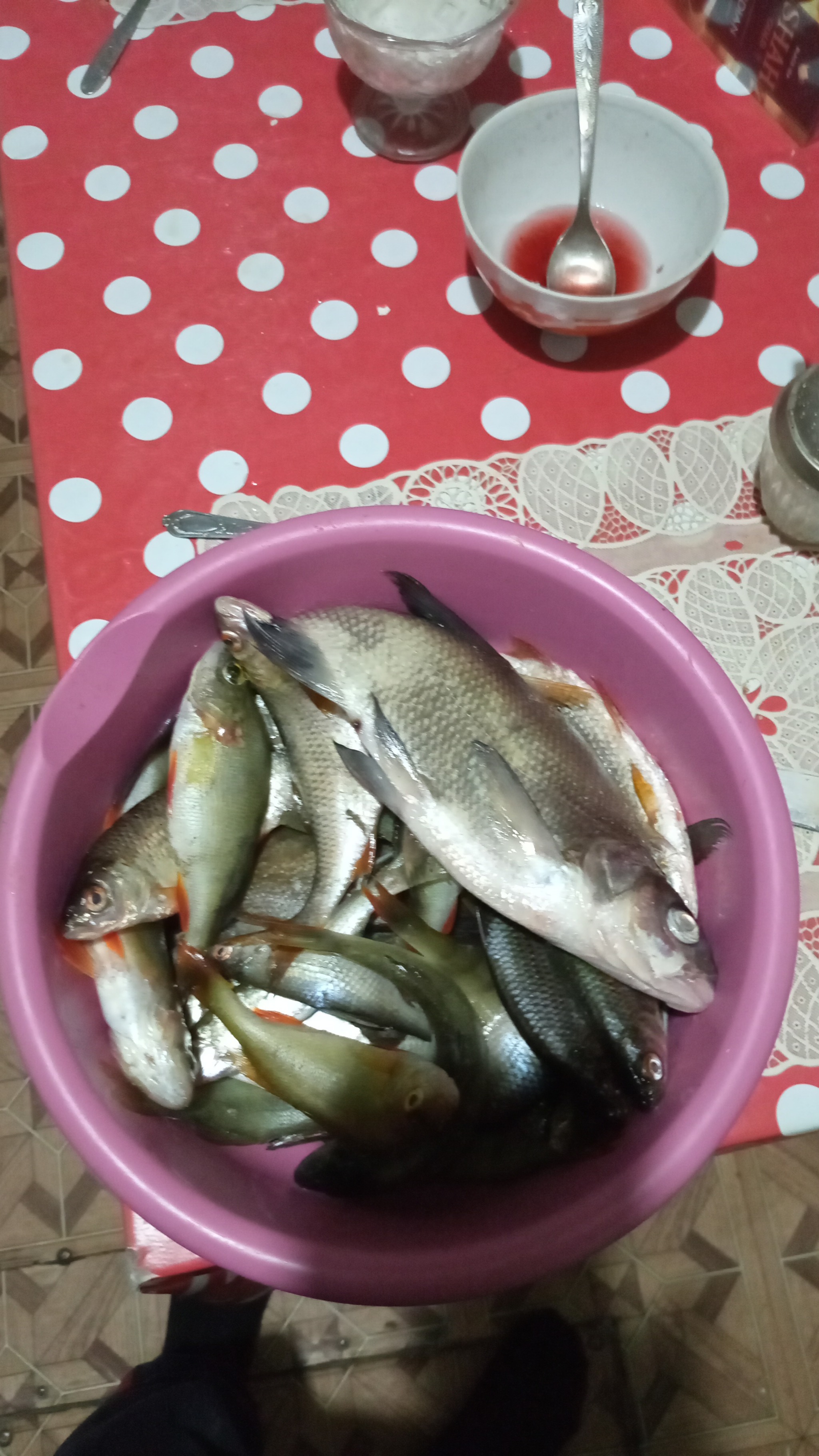 Fishing on the Tobol River - My, Fishermen, Catch, Longpost