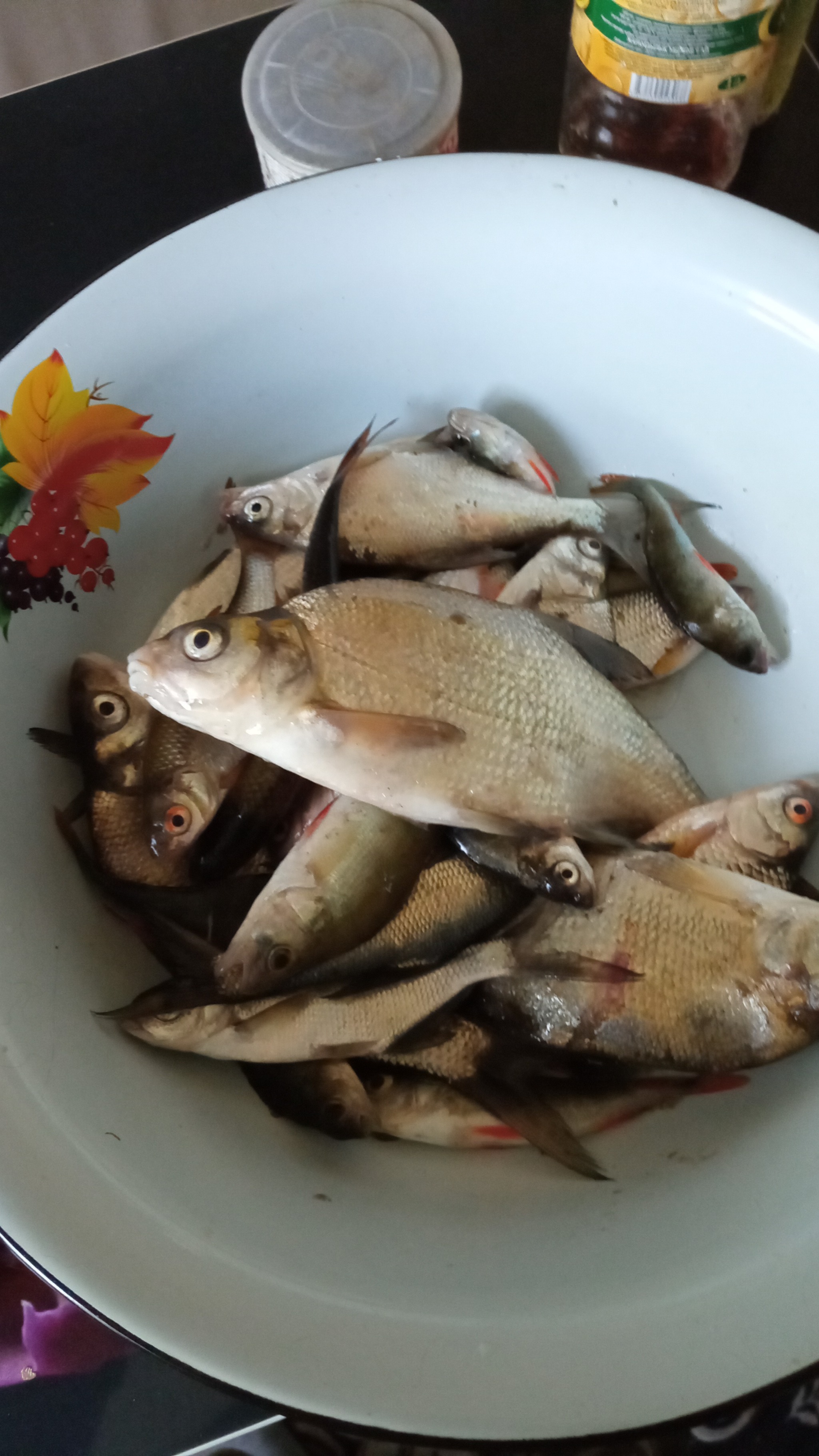 Fishing on the Tobol River - My, Fishermen, Catch, Longpost