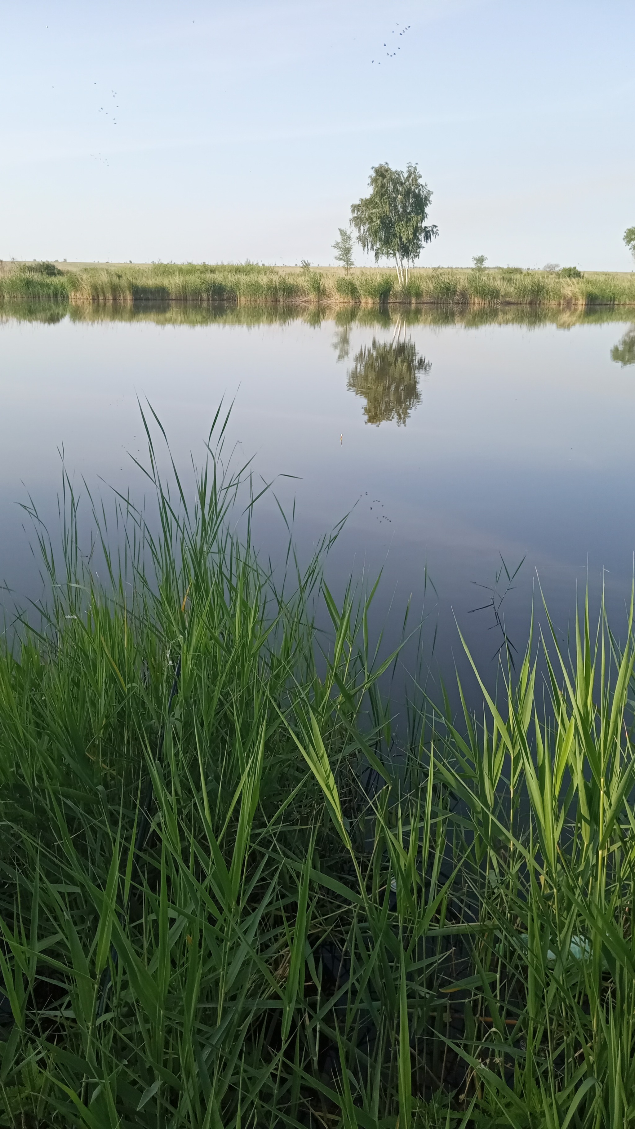 Fishing and nature - My, Fishing, Nature, Longpost, The photo