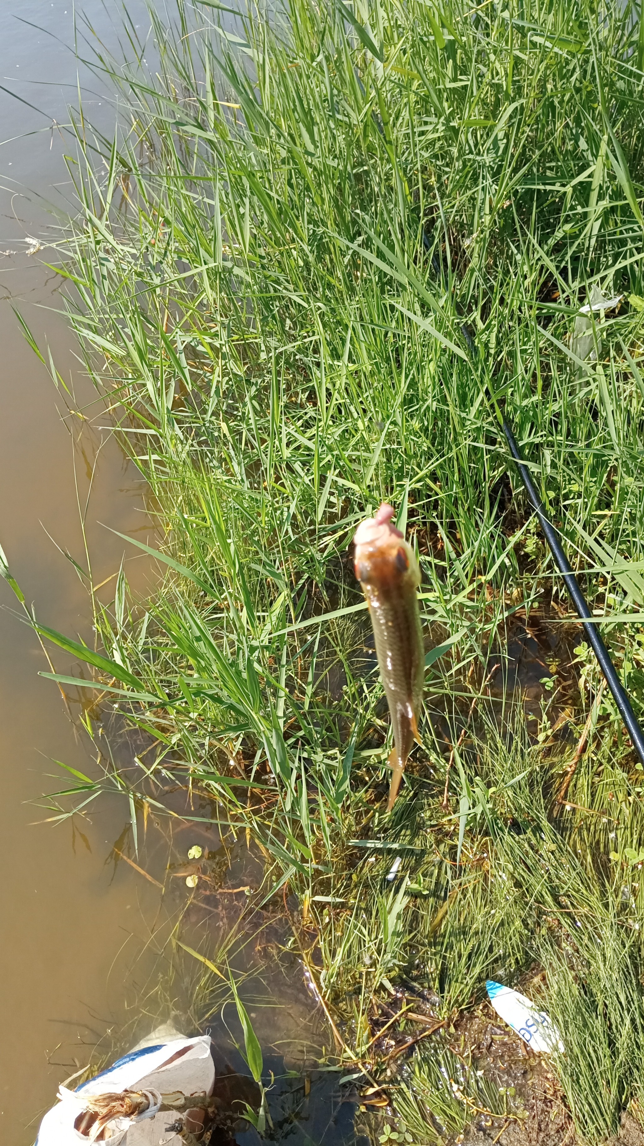 Fishing and nature - My, Fishing, Nature, Longpost, The photo