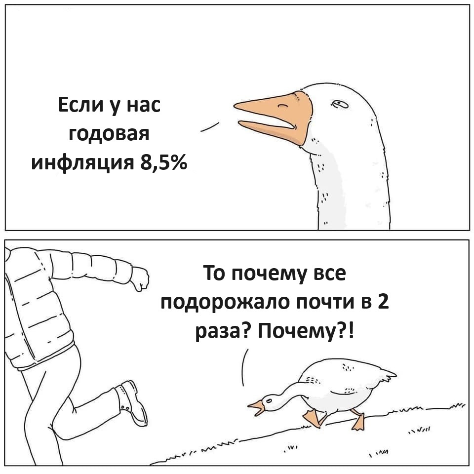 Post #12140110 - Humor, Picture with text, Memes, Inflation, Politics, Гусь, Telegram (link)