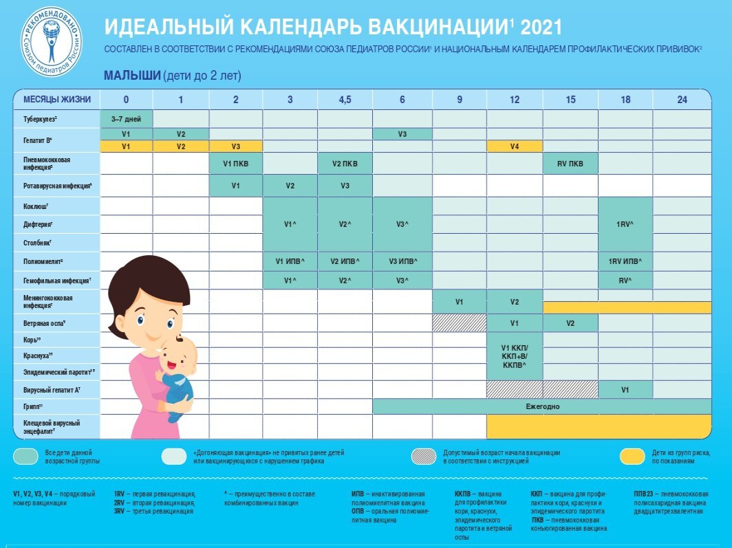 Идеальный график вакцинации - Моё, Медицина, Здоровье, Врачи, Лечение, Дети, Вакцинация, Длиннопост