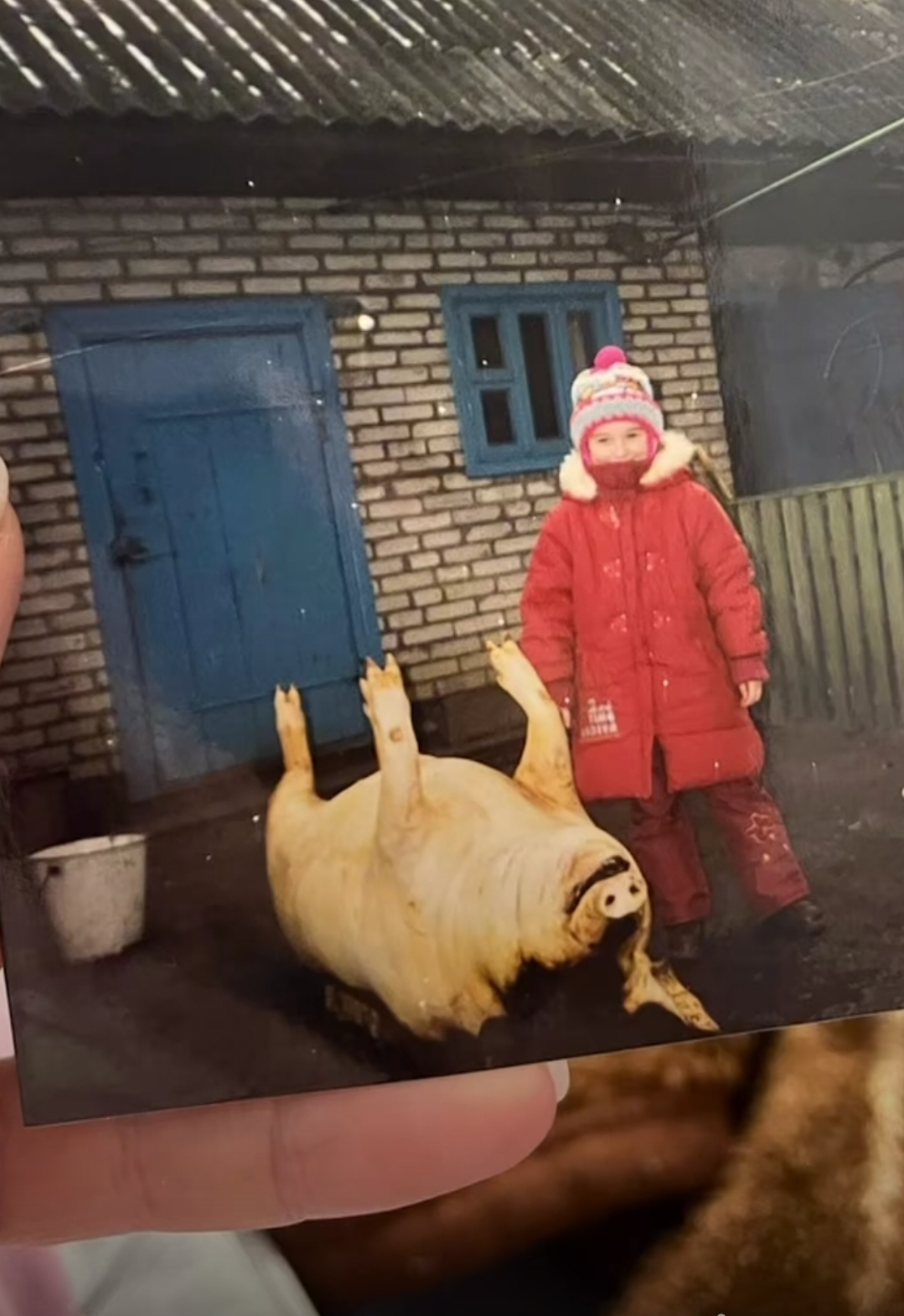 Happy childhood - Childhood, Childhood memories, Childhood in the USSR, Pig, Meat, Images, The photo