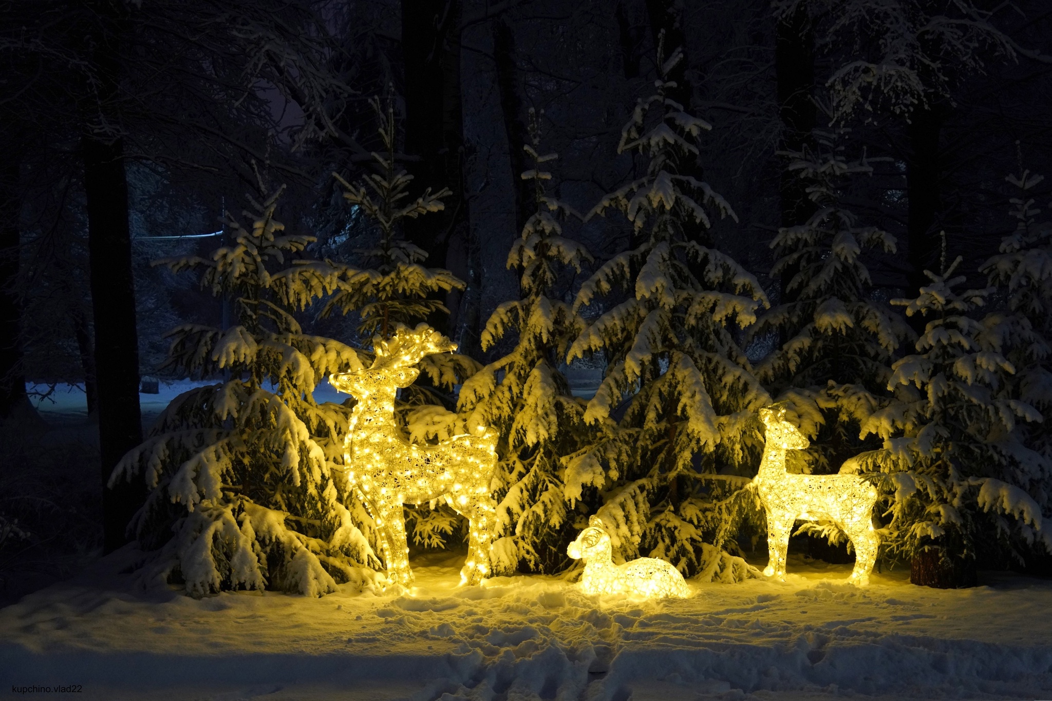 New Year's Petersburg 2024-2025 - My, The photo, Saint Petersburg, New Year, Light installations, New Year's decoration