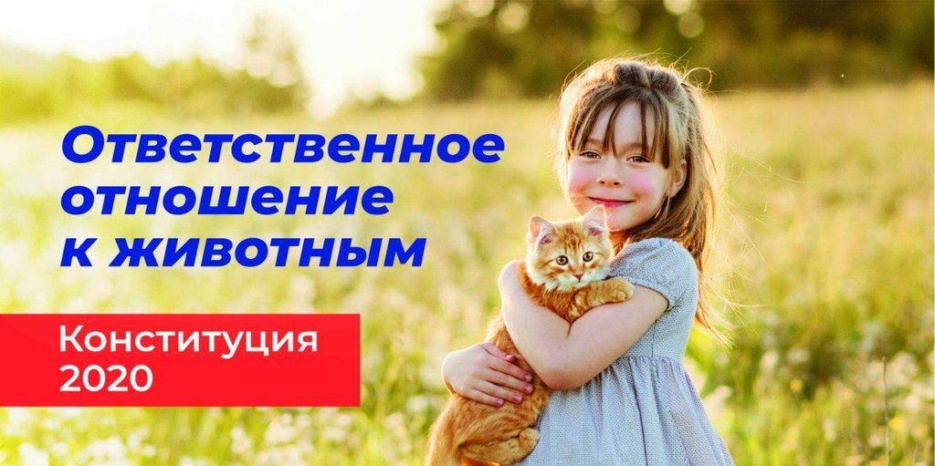 Ответ на пост «Последствия крушение танкеров» - Анапа, Сочи, Кораблекрушение, Экологическая катастрофа, Мазут, Видео, Керченский пролив, Ответ на пост, Негатив, Политика