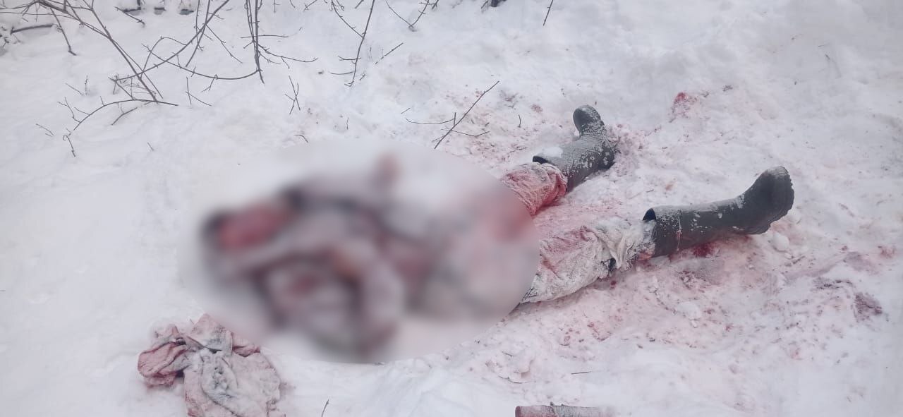 Bear mauls hunter in Primorsky Krai - Weapon, Hunting, The Bears, Death, Attack, Video, Vertical video, Longpost, Negative