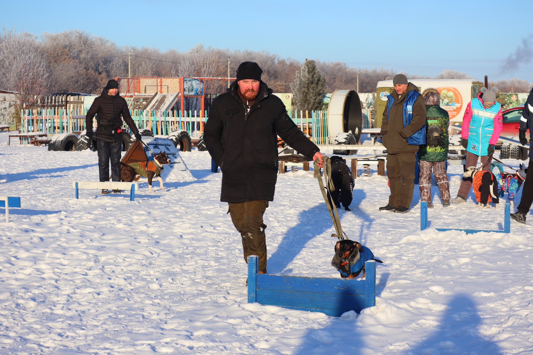 Dog training in Omsk - OCSSSS - Dog, Puppies, Omsk, Training, Г“Г±Г±Г±, Dog breeding