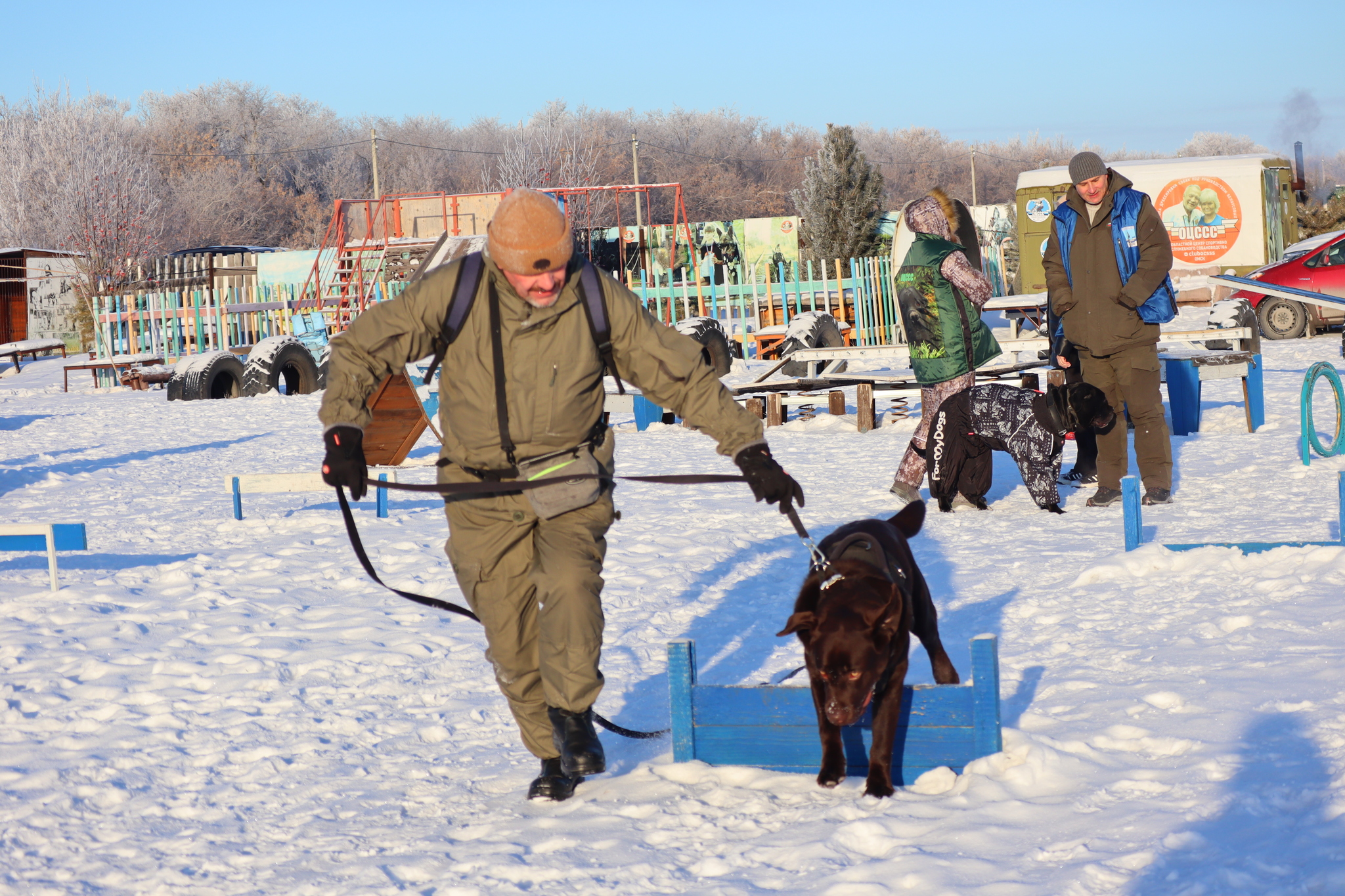 Dog training in Omsk - OCSSSS - Dog, Puppies, Omsk, Training, Г“Г±Г±Г±, Dog breeding