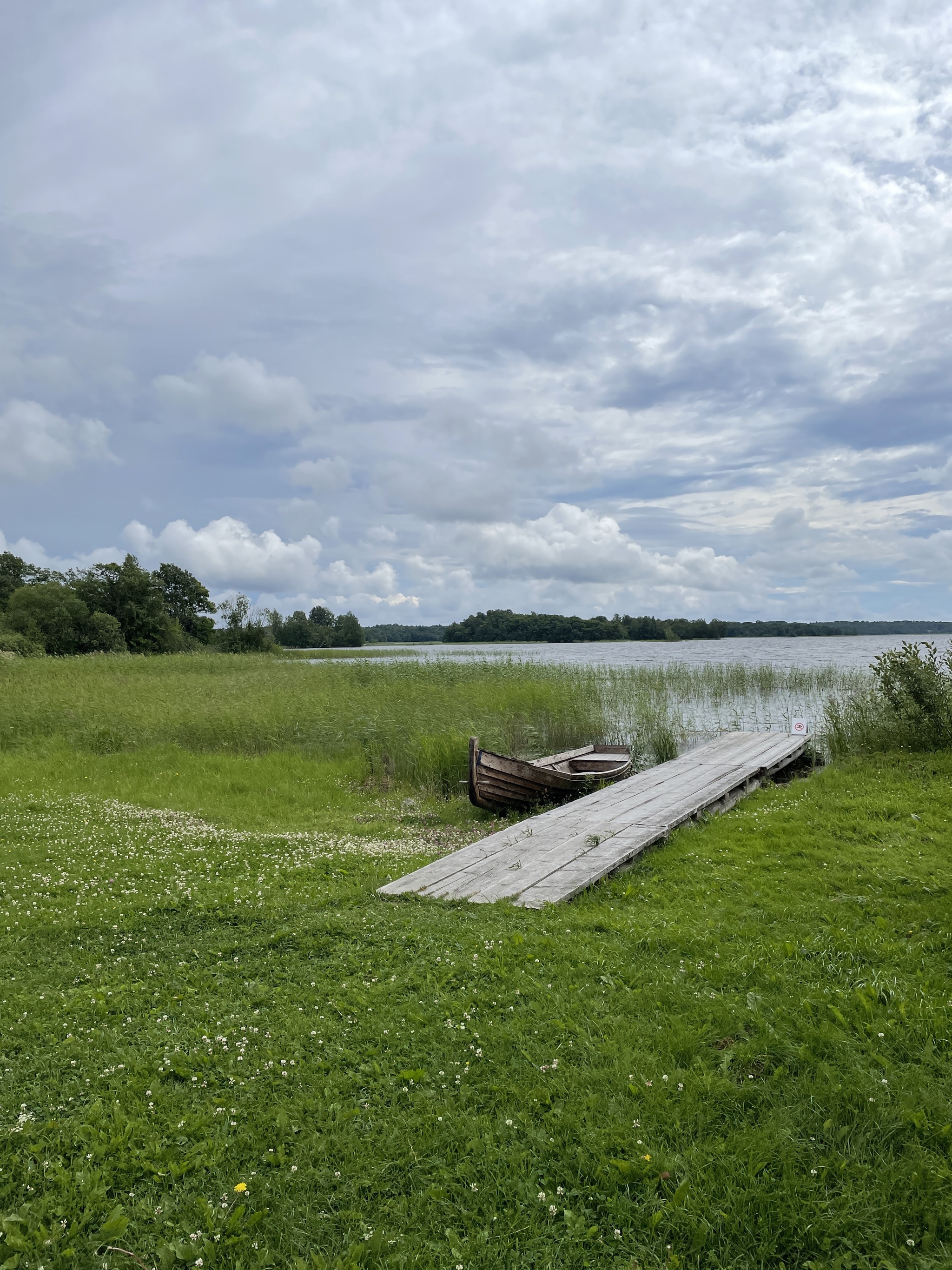 And the birch tree stands in complete silence... - My, The photo, Nature, Village, Longpost