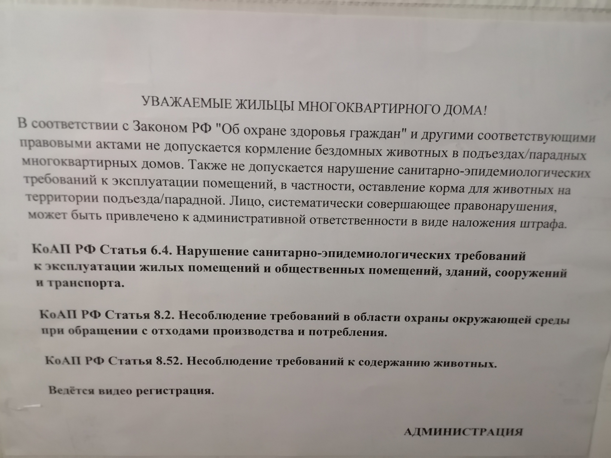 Оказывается с С-Пб уже начали борьбу с бродячими собаками(и не только) - Моё, Бродячие собаки, Закон, Санкт-Петербург