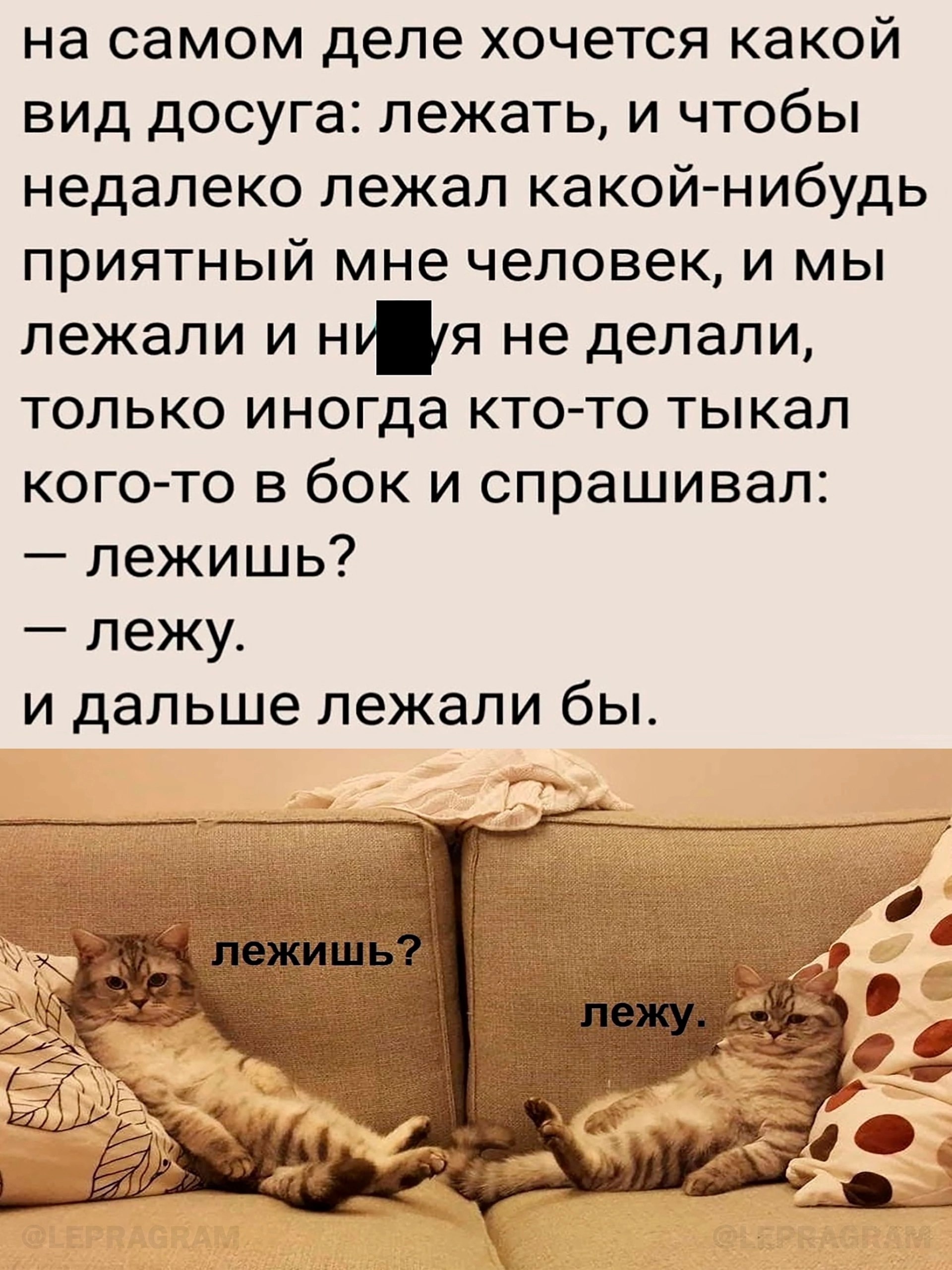 Досуг - Картинка с текстом, Кот, Мат