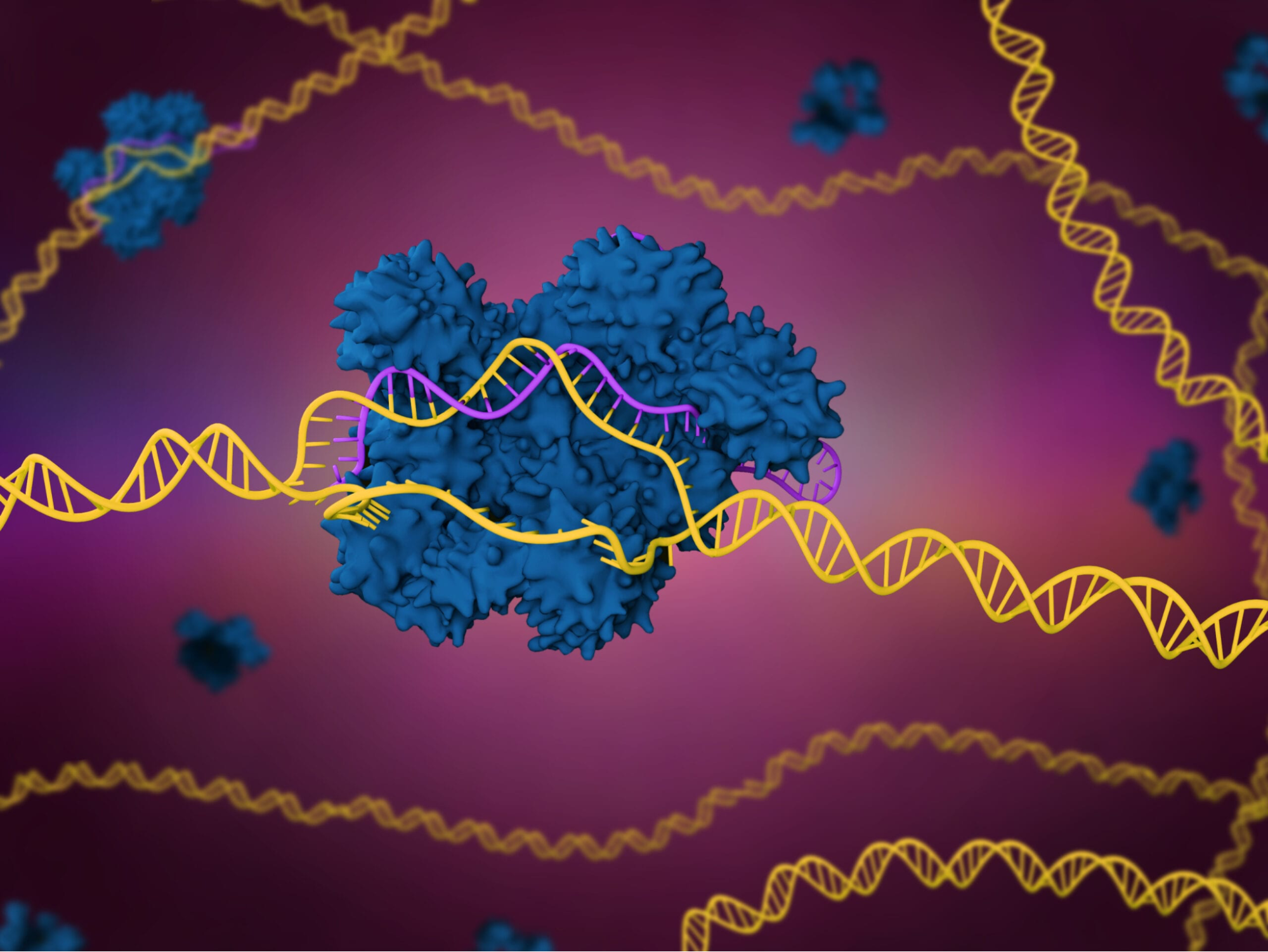 The Most Important Discovery of Biology in the 20th Century: Genetic Scissors - My, The science, Nauchpop, Longpost